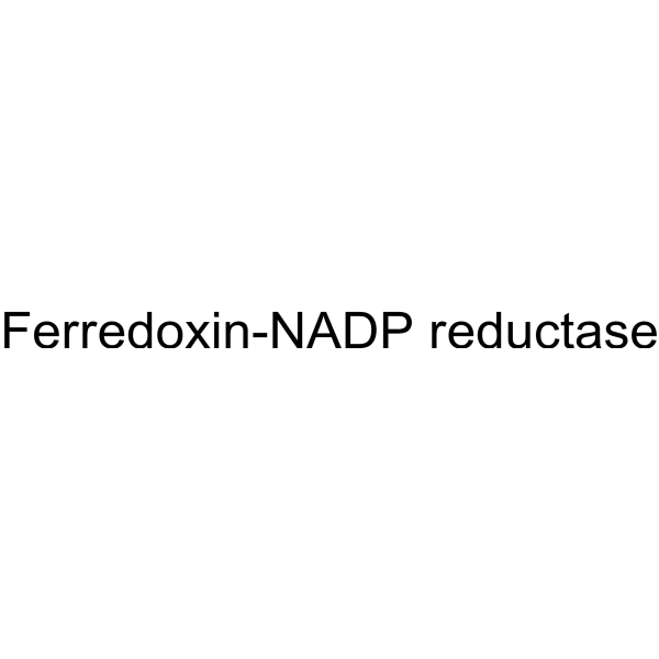 Ferredoxin-NADP reductase 9029-33-8